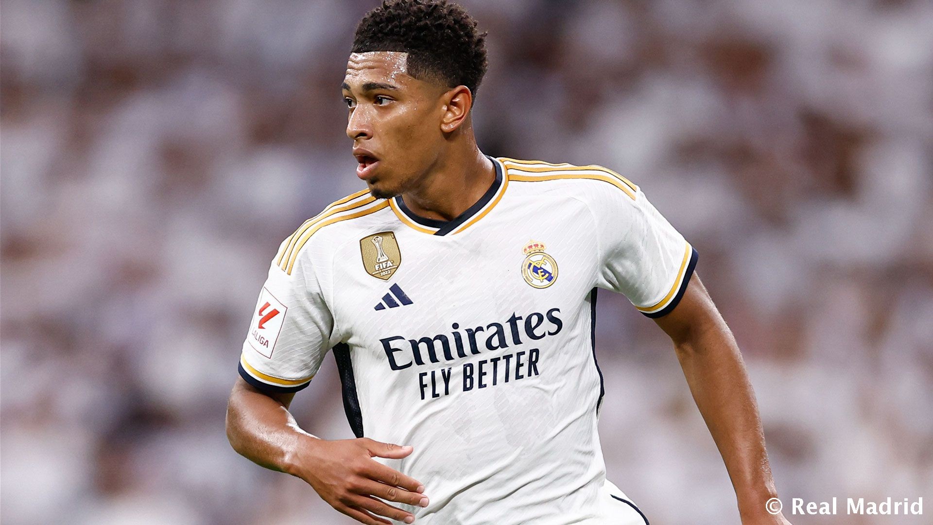 甲争夺增添 甲争夺增添